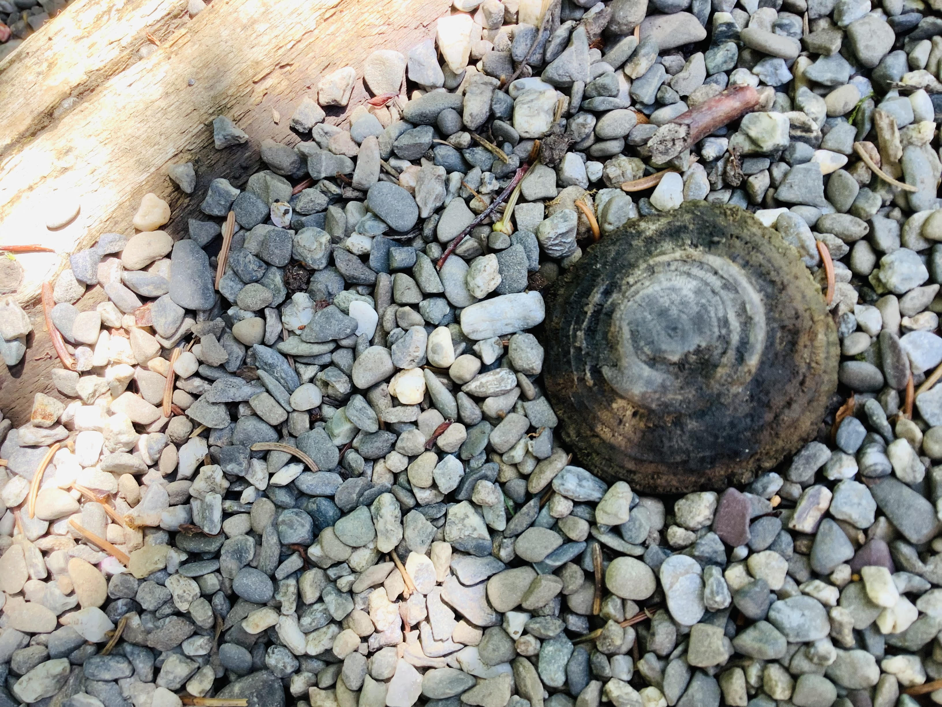 Le lit fin du dedans 2025 - Couverture